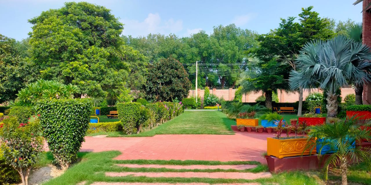 Environmental Sciences Department of CUI Sahiwal Campus