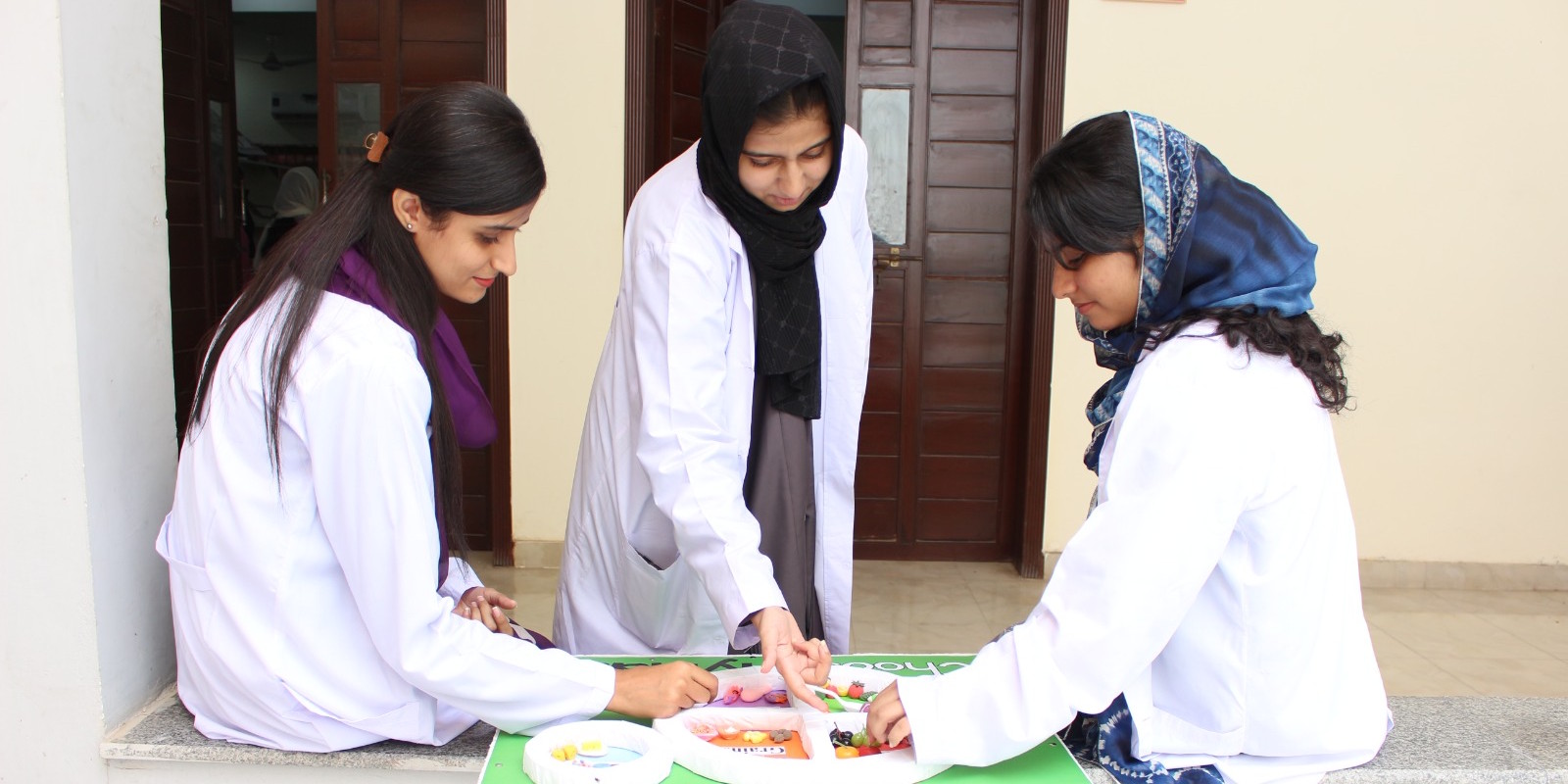Environmental Sciences Department of CUI Sahiwal Campus